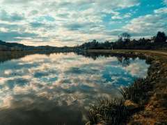 Rybníky Starostín - momentka